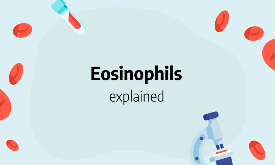 eosinophils-low-relative-high-absolute-count-normal-range