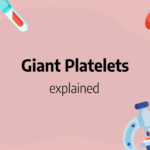 giant platelets