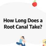 root canal duration