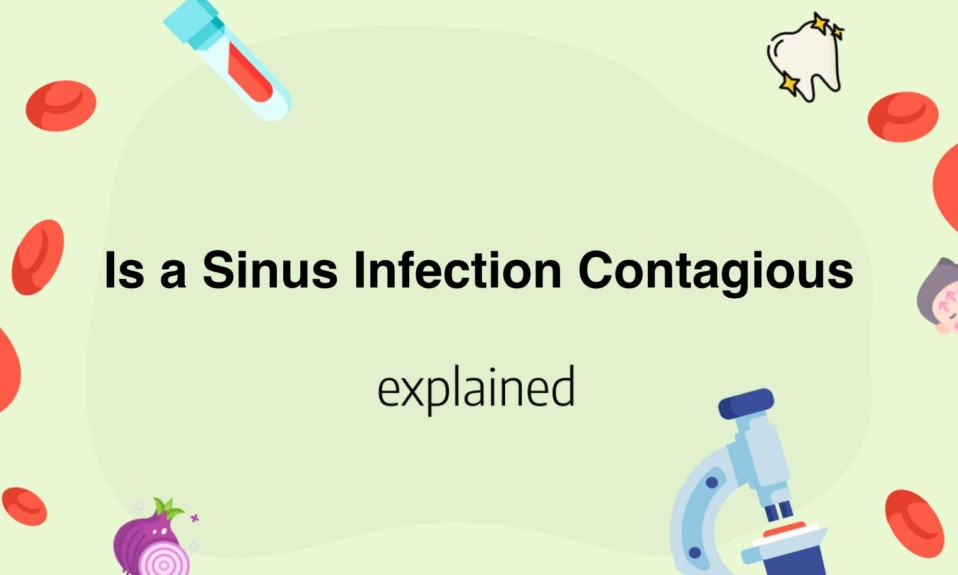 Sinus infection contagious