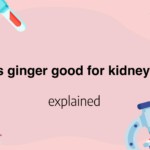 Is ginger good for kidneys