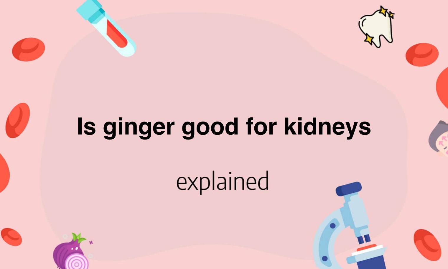 Is ginger good for kidneys