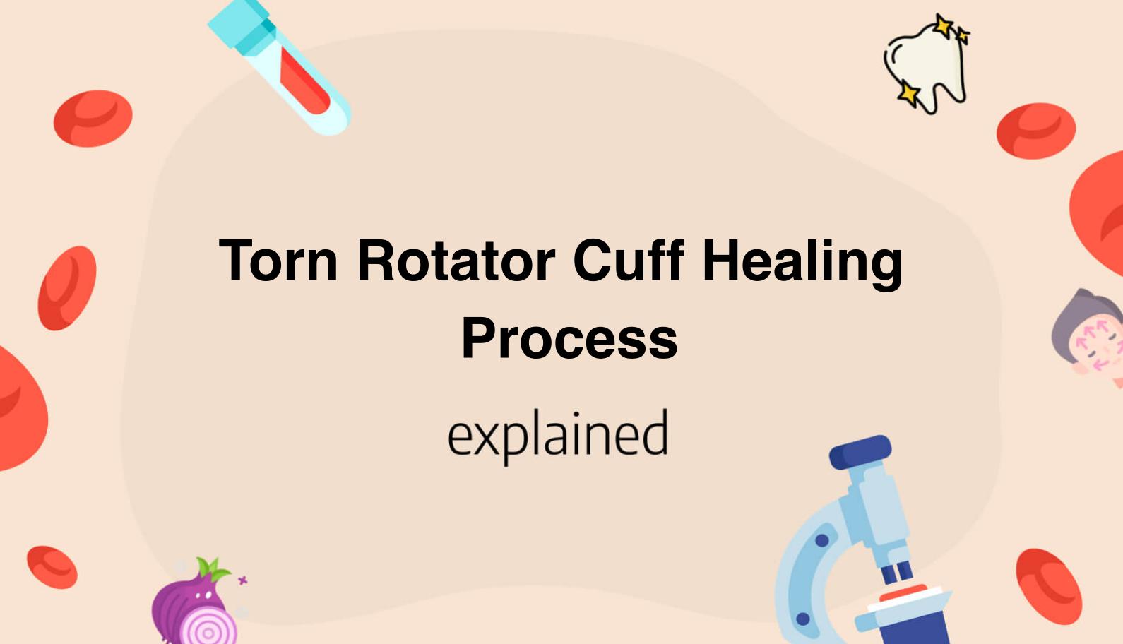 How long does it take for a torn rotator cuff to heal without surgery