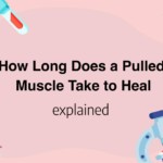 How Long Does a Pulled Muscle Take to Heal