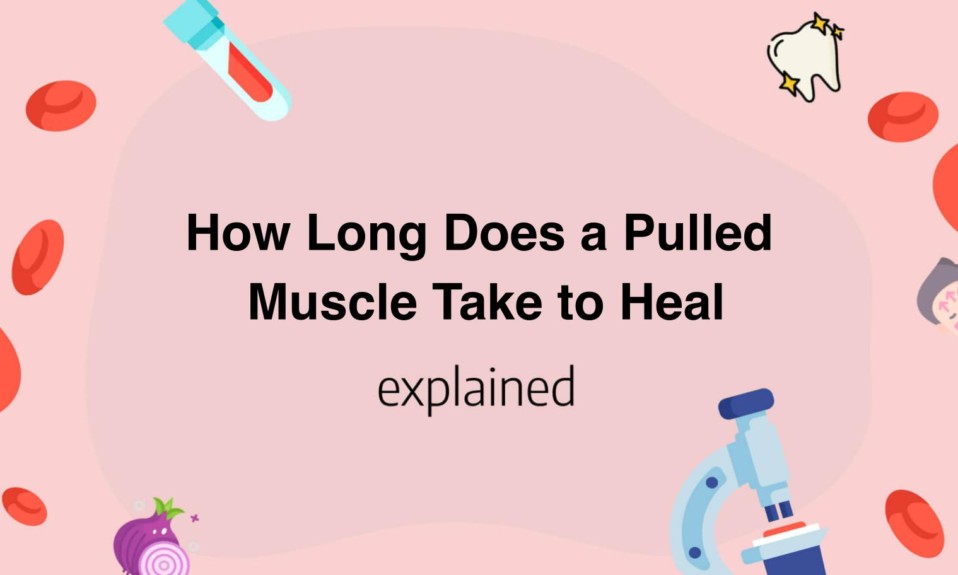 How Long Does a Pulled Muscle Take to Heal