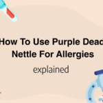 How To Use Purple Dead Nettle For Allergies