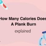 How Many Calories Does A Plank Burn