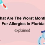 What Are The Worst Months For Allergies In Florida