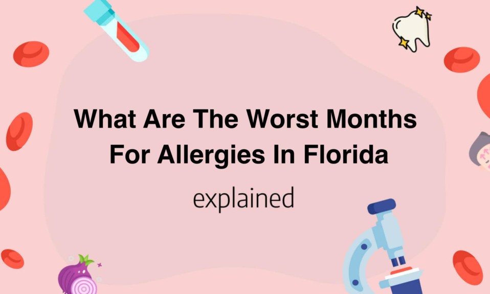 What Are The Worst Months For Allergies In Florida