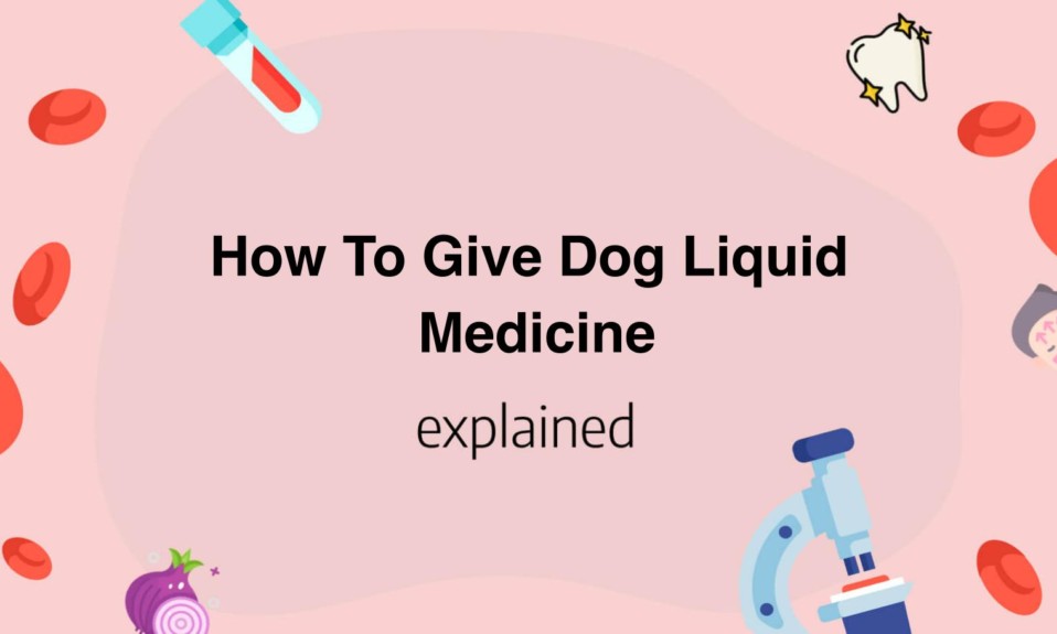 How To Give Dog Liquid Medicine