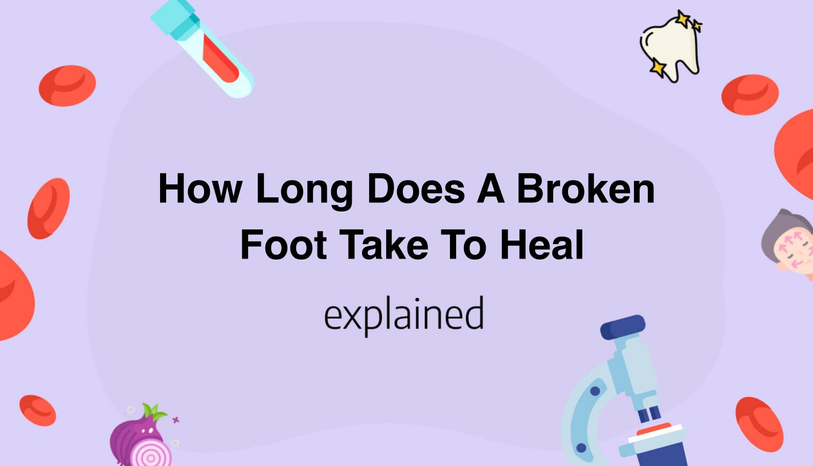 how-long-does-a-broken-foot-take-to-heal