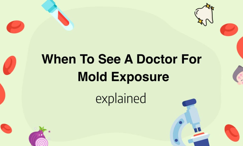 When To See A Doctor For Mold Exposure