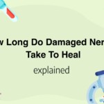 How Long Do Damaged Nerves Take To Heal