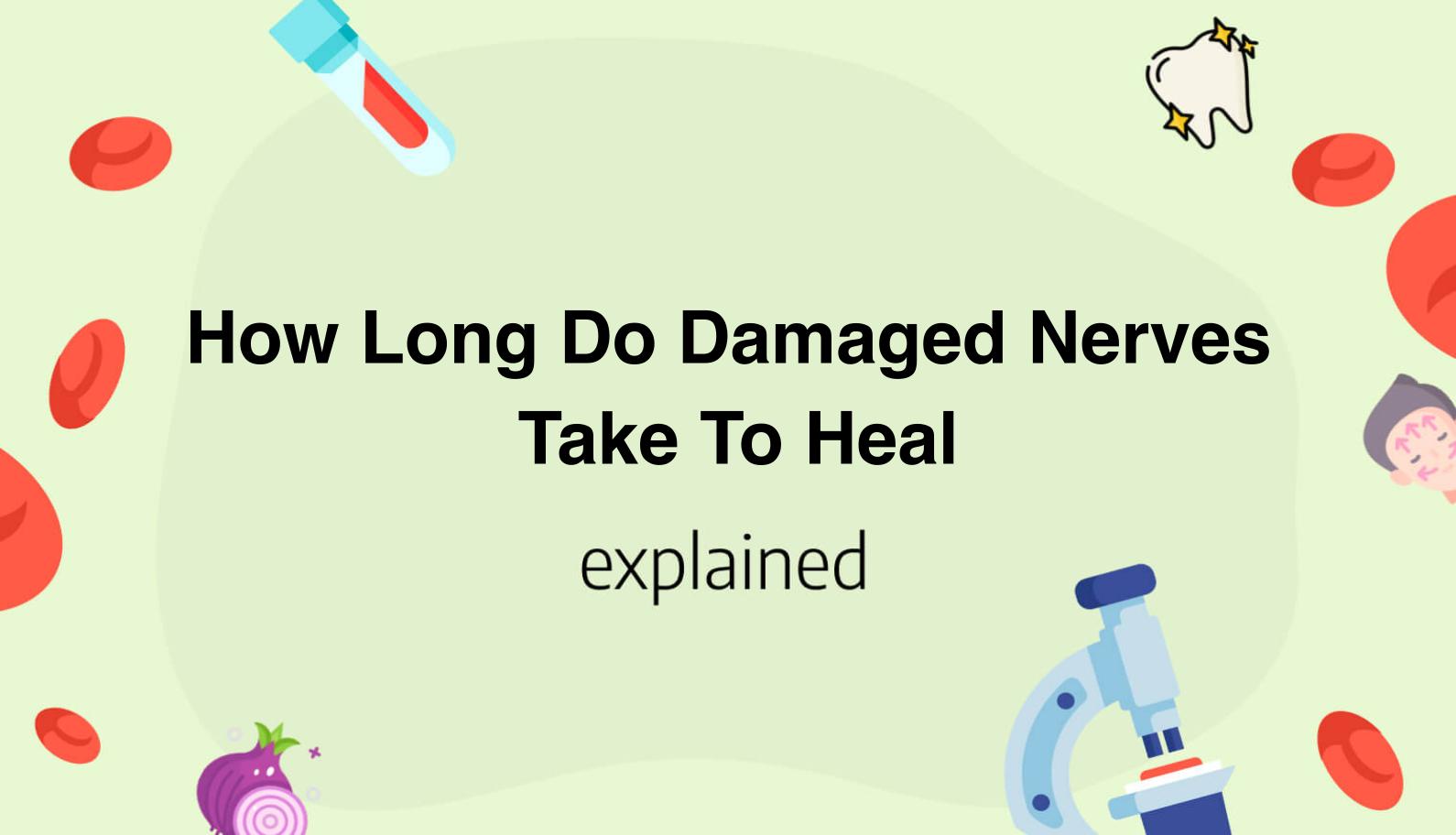 How Long Do Damaged Nerves Take To Heal