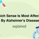 Which Sense Is Most Affected By Alzheimer's Disease