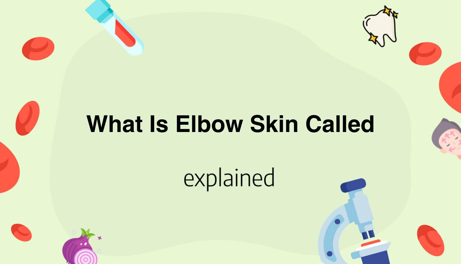 What Is Elbow Skin Called