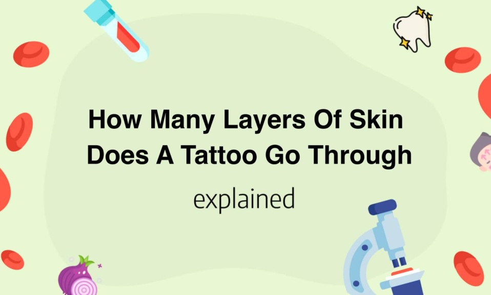 How Many Layers Of Skin Does A Tattoo Go Through