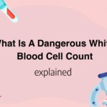 What Is A Dangerous White Blood Cell Count
