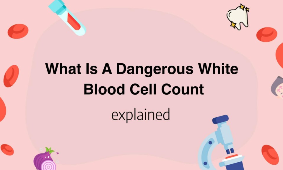 What Is A Dangerous White Blood Cell Count