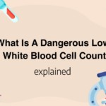 What Is A Dangerous Low White Blood Cell Count