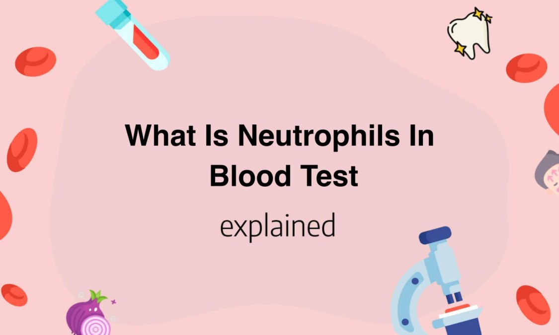 Neutrophils: Definition, Absolute Count, High, Low And Normal Range