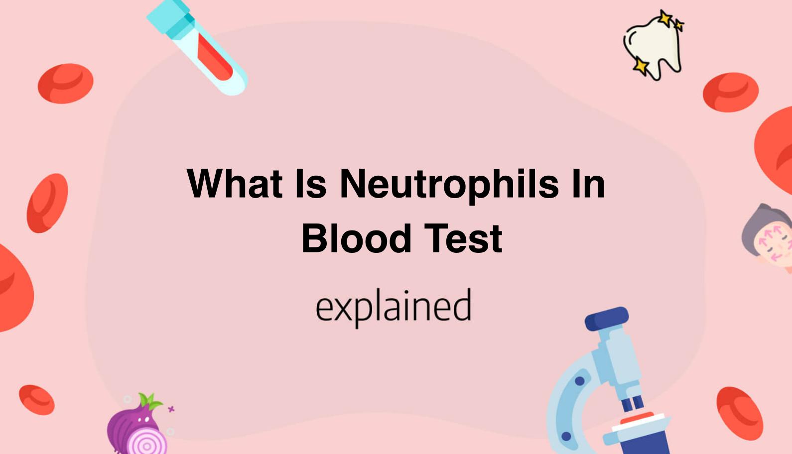 what-is-neutrophils-in-blood-test