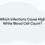 Which Infections Cause High White Blood Cell Count?