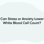 Can Stress or Anxiety Lower White Blood Cell Count?
