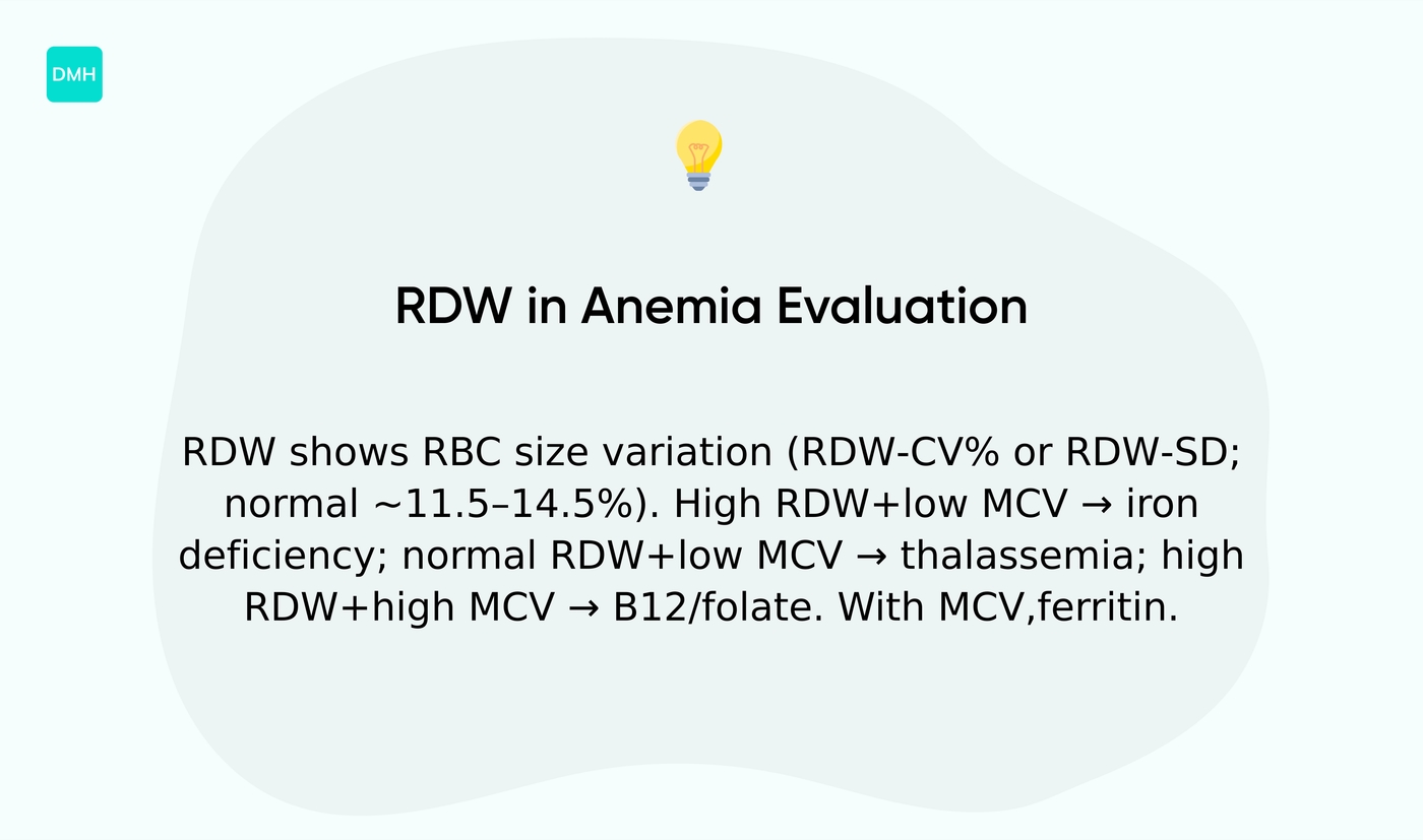 How is RDW used to evaluate anemia?