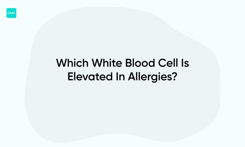 Which White Blood Cell Is Elevated In Allergies?