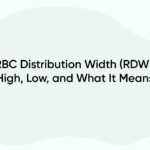 RBC Distribution Width (RDW): High, Low, and What It Means