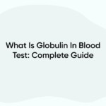 What Is Globulin In Blood Test: Complete Guide