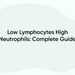 Low Lymphocytes High Neutrophils: Complete Guide