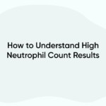 How to Understand High Neutrophil Count Results