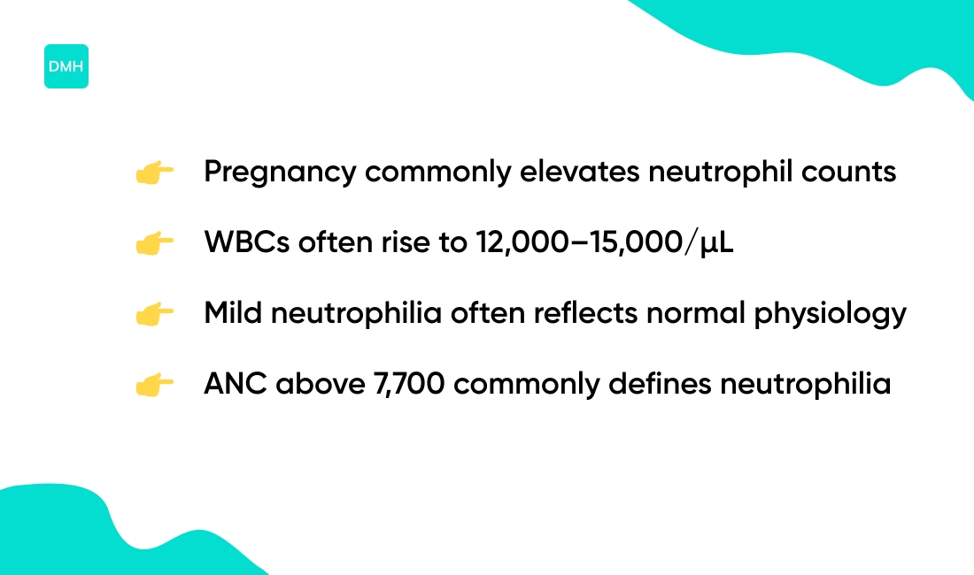 How to Understand High Neutrophil Count Results