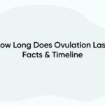 How Long Does Ovulation Last: Facts & Timeline