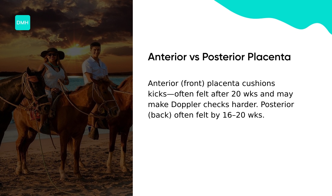 Anterior placenta vs posterior placenta