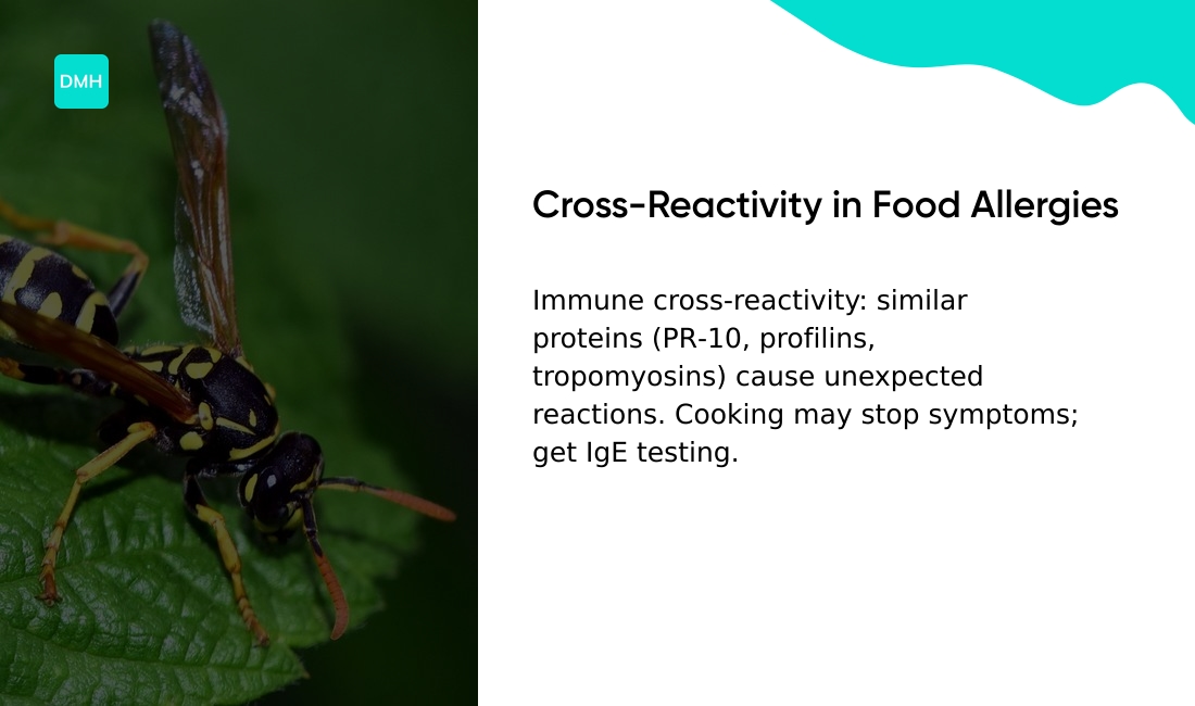 What is cross-reactivity in food allergies