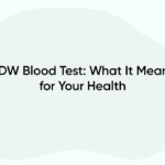 RDW Blood Test: What It Means for Your Health