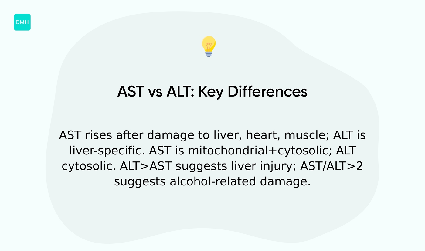 What is the difference between AST and ALT