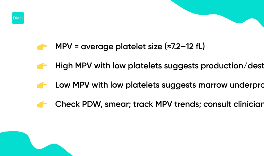 How to interpret MPV results on a CBC