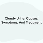 Cloudy Urine: Causes, Symptoms, And Treatment