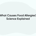 What Causes Food Allergies? Science Explained