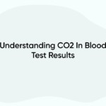 Understanding CO2 In Blood Test Results