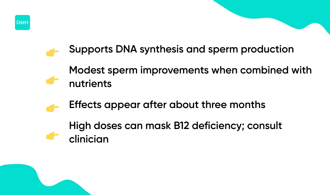 Folic acid for men and fertility support