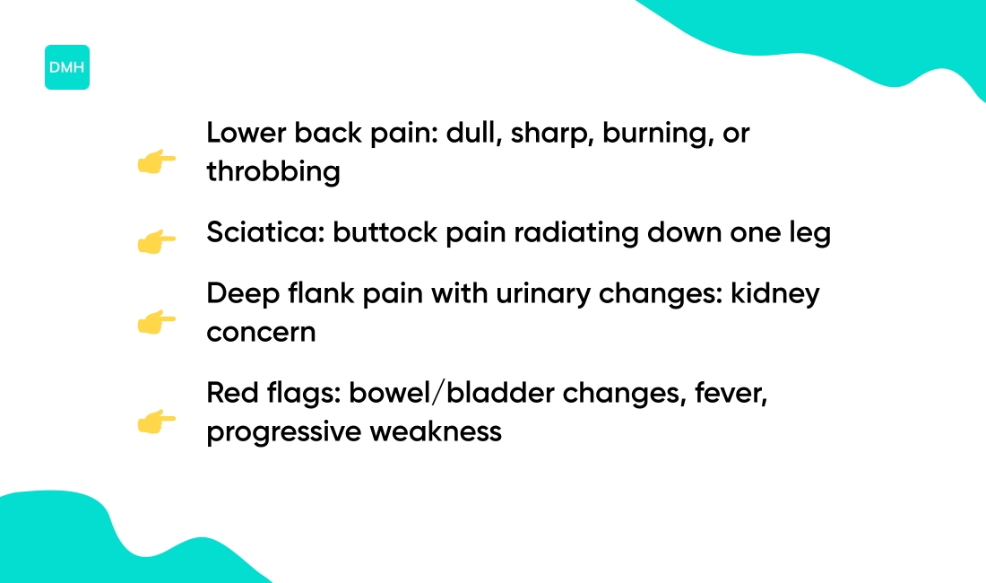 Symptoms and how to identify different types of lower back pain