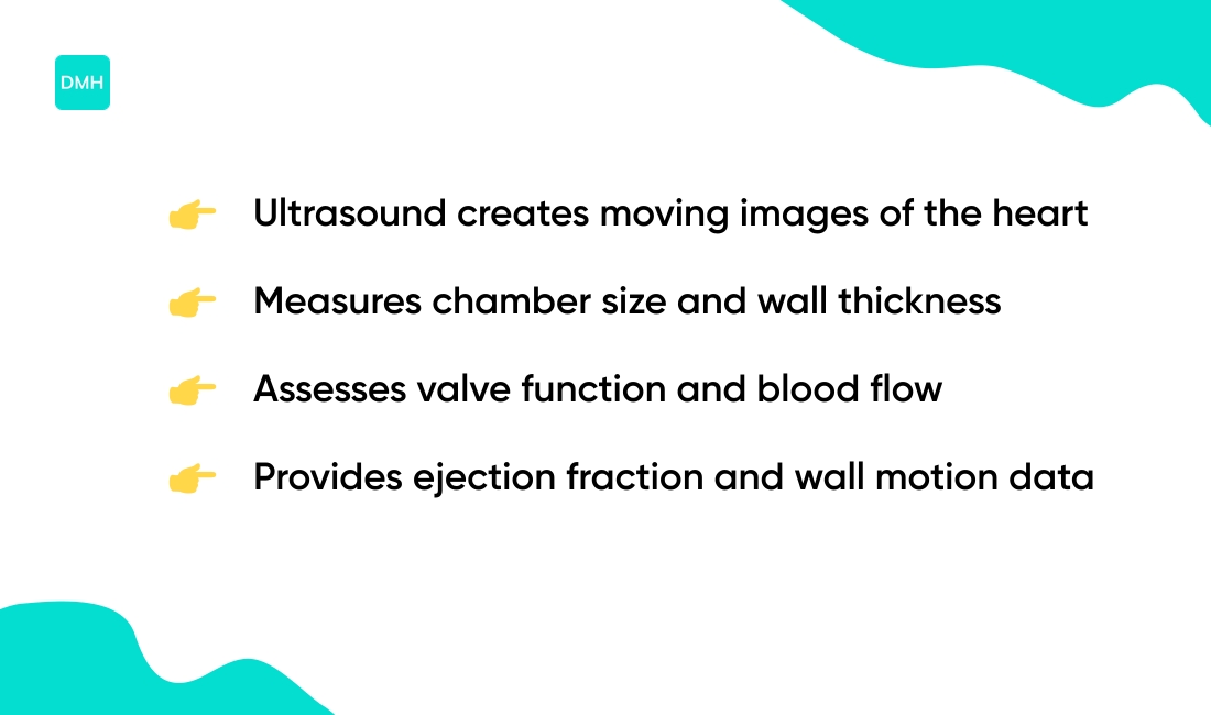 What does an echocardiogram show