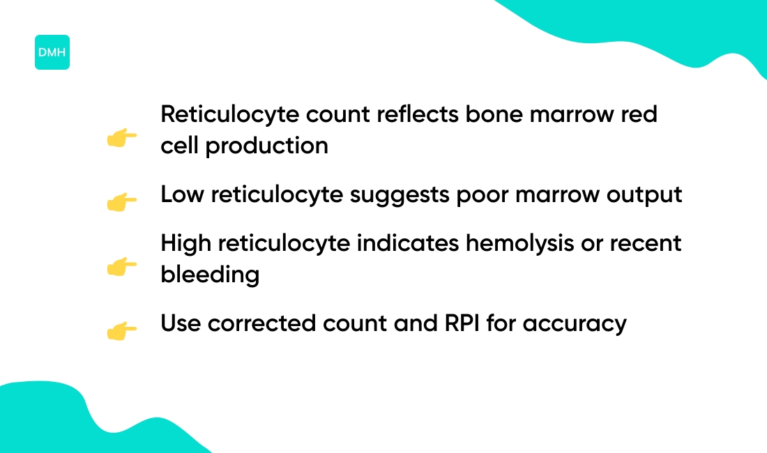 How to interpret reticulocyte count in anemia