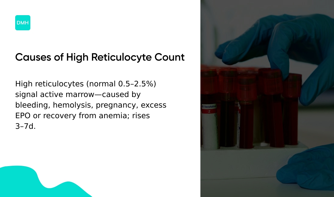What causes a high reticulocyte count