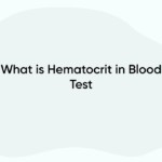 What is Hematocrit in Blood Test